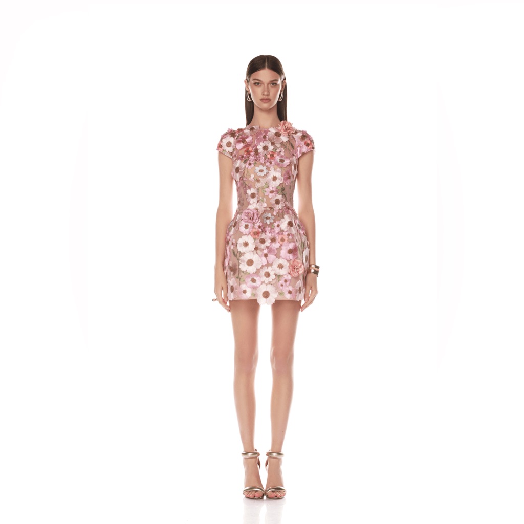 Bronx & Banco Jasmine Capsleeve Pink Floral Embroidered Mini Dress Xs Nwot